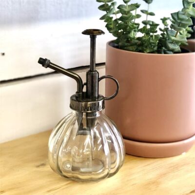 Glass Plant Mister